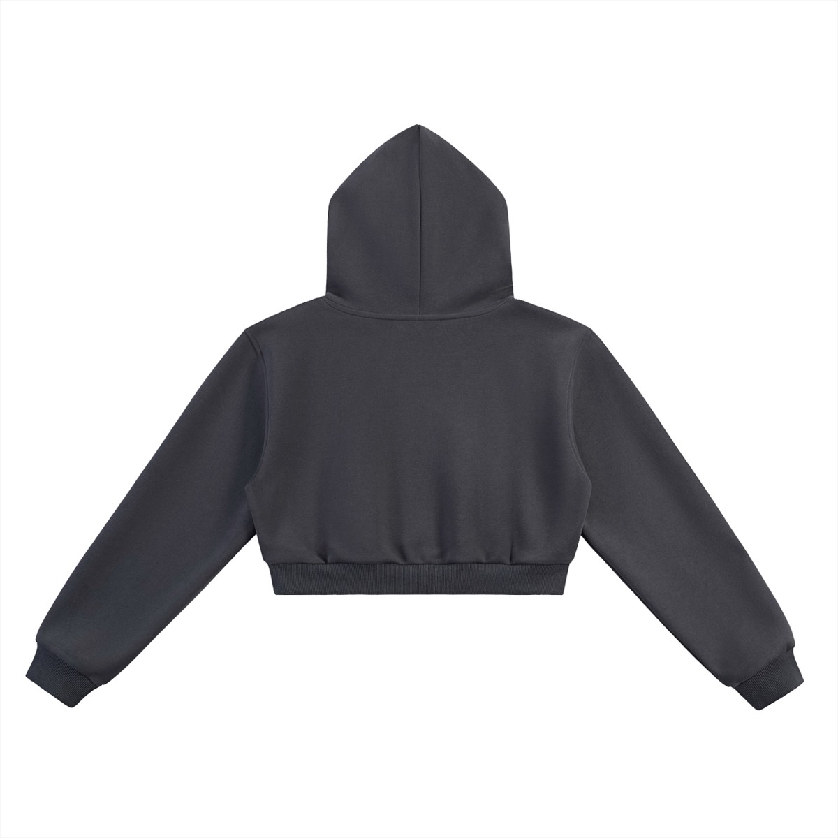 ODMPOD Essential Cropped Hoodie in dark gray, back view