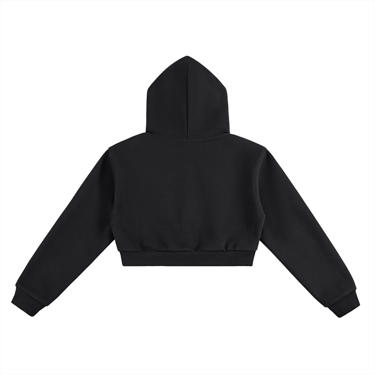 ODMPOD Essential Cropped Hoodie in black, back view